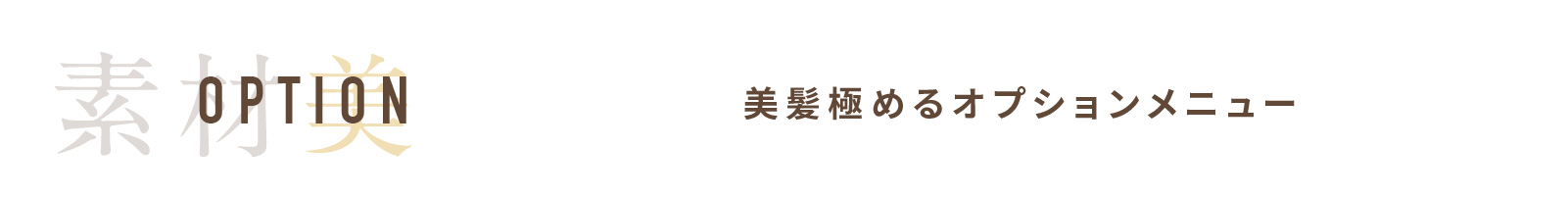 OPTION 美髪極めるオプションメニュー