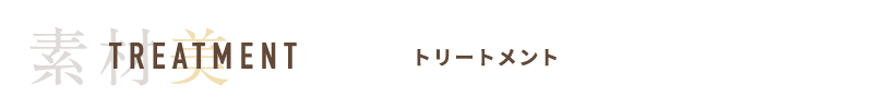 TREATMENT トリートメント